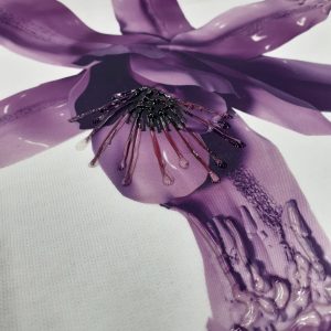 07_PR-AE